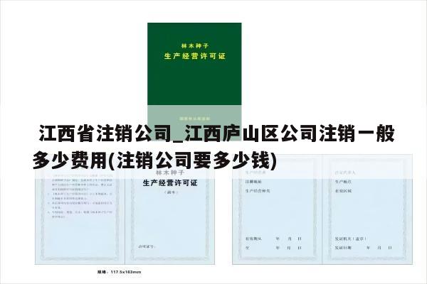 江西省注销公司_江西庐山区公司注销一般多少费用(注销公司要多少钱)