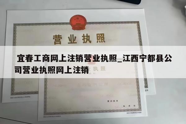  宜春工商网上注销营业执照_江西宁都县公司营业执照网上注销