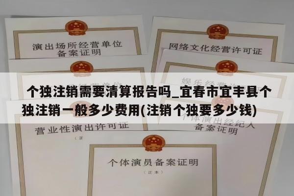  个独注销需要清算报告吗_宜春市宜丰县个独注销一般多少费用(注销个独要多少钱)
