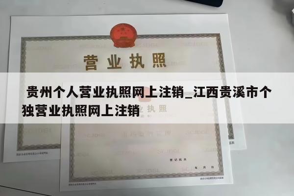  贵州个人营业执照网上注销_江西贵溪市个独营业执照网上注销