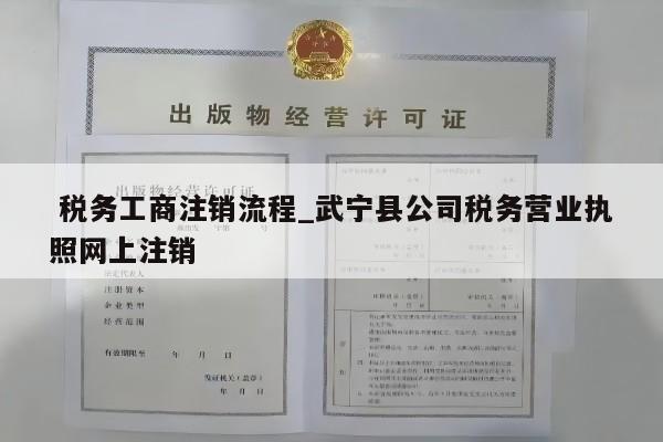  税务工商注销流程_武宁县公司税务营业执照网上注销