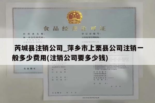  芮城县注销公司_萍乡市上栗县公司注销一般多少费用(注销公司要多少钱)
