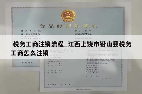  税务工商注销流程_江西上饶市铅山县税务工商怎么注销