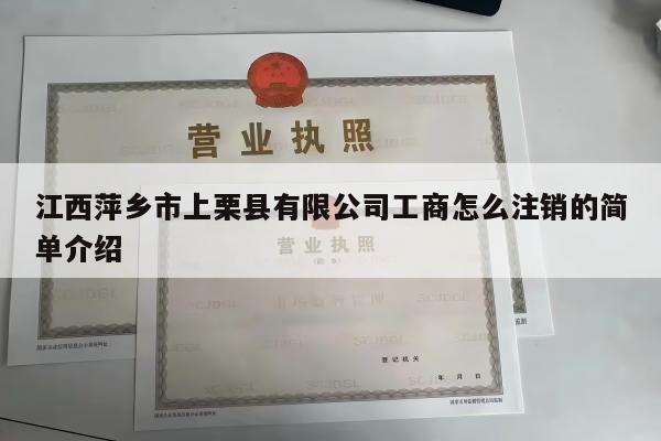 江西萍乡市上栗县有限公司工商怎么注销的简单介绍