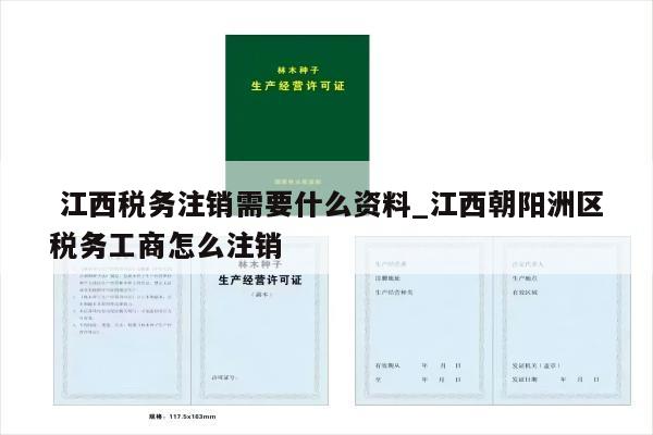  江西税务注销需要什么资料_江西朝阳洲区税务工商怎么注销