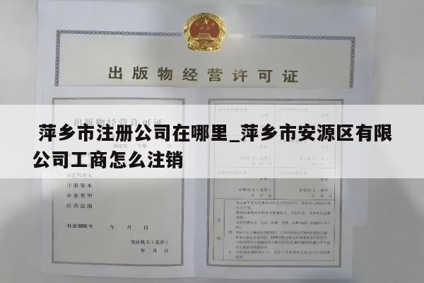  萍乡市注册公司在哪里_萍乡市安源区有限公司工商怎么注销