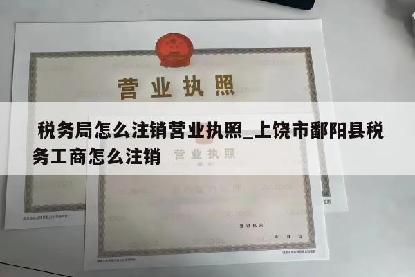  税务局怎么注销营业执照_上饶市鄱阳县税务工商怎么注销