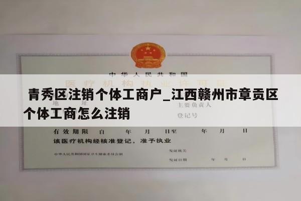  青秀区注销个体工商户_江西赣州市章贡区个体工商怎么注销