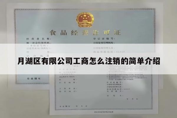 月湖区有限公司工商怎么注销的简单介绍