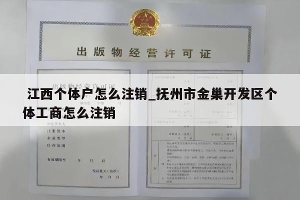  江西个体户怎么注销_抚州市金巢开发区个体工商怎么注销