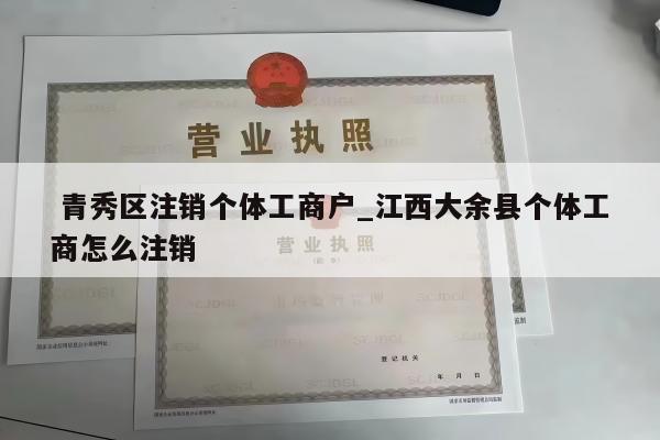  青秀区注销个体工商户_江西大余县个体工商怎么注销