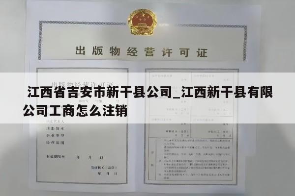  江西省吉安市新干县公司_江西新干县有限公司工商怎么注销