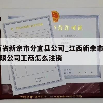  江西省新余市分宜县公司_江西新余市分宜县有限公司工商怎么注销