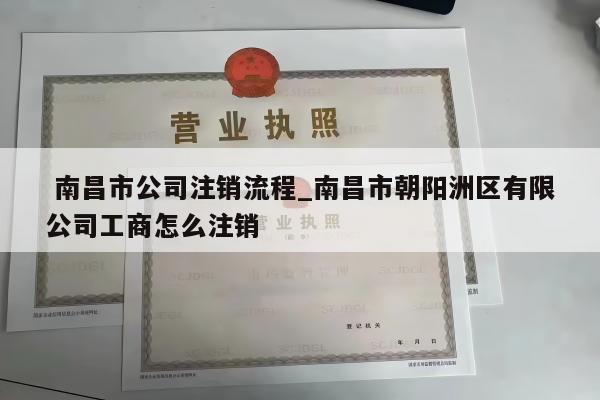  南昌市公司注销流程_南昌市朝阳洲区有限公司工商怎么注销