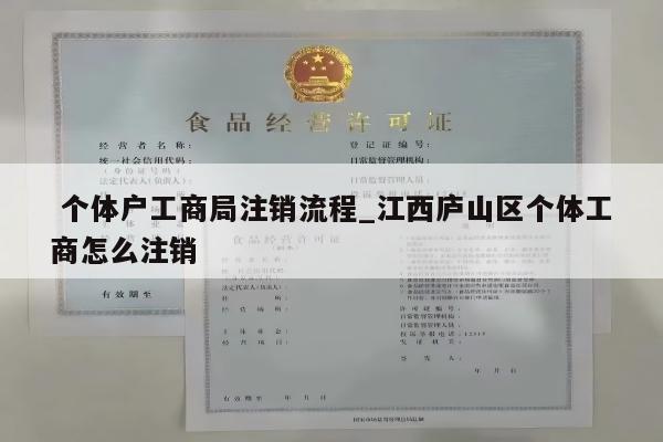  个体户工商局注销流程_江西庐山区个体工商怎么注销