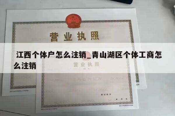  江西个体户怎么注销_青山湖区个体工商怎么注销