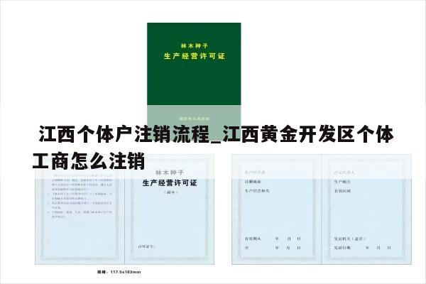  江西个体户注销流程_江西黄金开发区个体工商怎么注销
