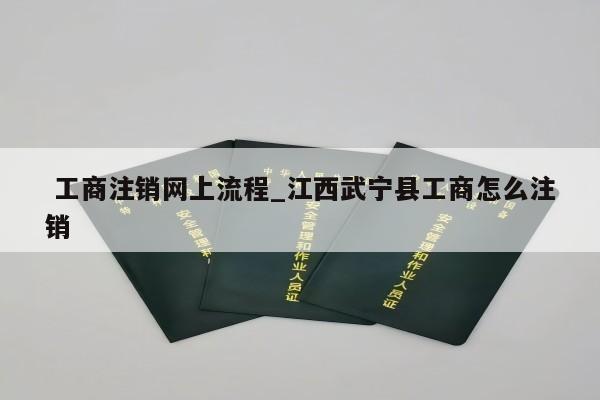  工商注销网上流程_江西武宁县工商怎么注销