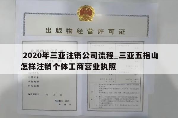 2020年三亚注销公司流程_三亚五指山怎样注销个体工商营业执照