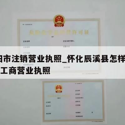  益阳市注销营业执照_怀化辰溪县怎样注销个体工商营业执照