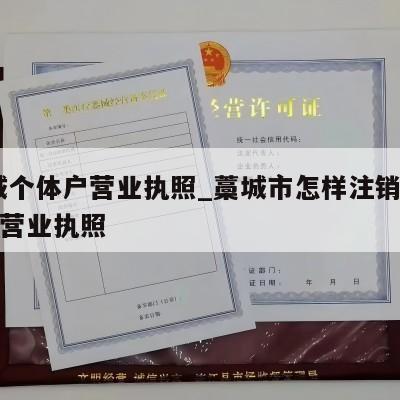  藁城个体户营业执照_藁城市怎样注销个体工商营业执照