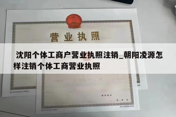  沈阳个体工商户营业执照注销_朝阳凌源怎样注销个体工商营业执照
