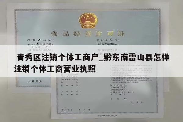  青秀区注销个体工商户_黔东南雷山县怎样注销个体工商营业执照