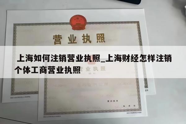  上海如何注销营业执照_上海财经怎样注销个体工商营业执照