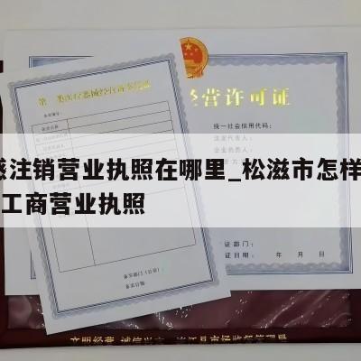  孝感注销营业执照在哪里_松滋市怎样注销个体工商营业执照