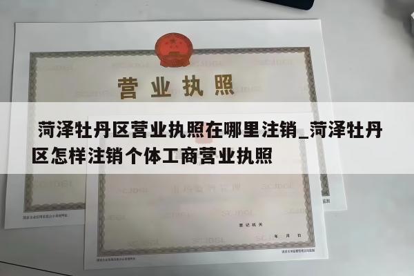  菏泽牡丹区营业执照在哪里注销_菏泽牡丹区怎样注销个体工商营业执照