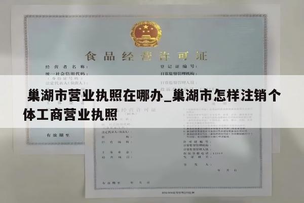 巢湖市营业执照在哪办_巢湖市怎样注销个体工商营业执照