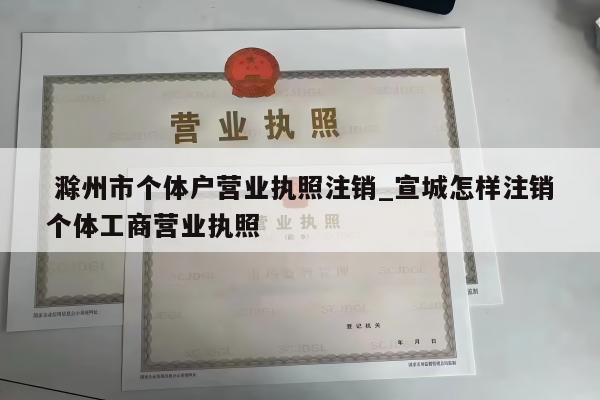  滁州市个体户营业执照注销_宣城怎样注销个体工商营业执照