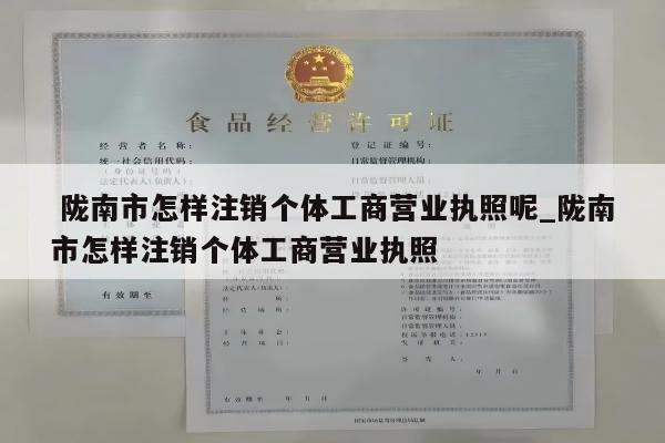  陇南市怎样注销个体工商营业执照呢_陇南市怎样注销个体工商营业执照