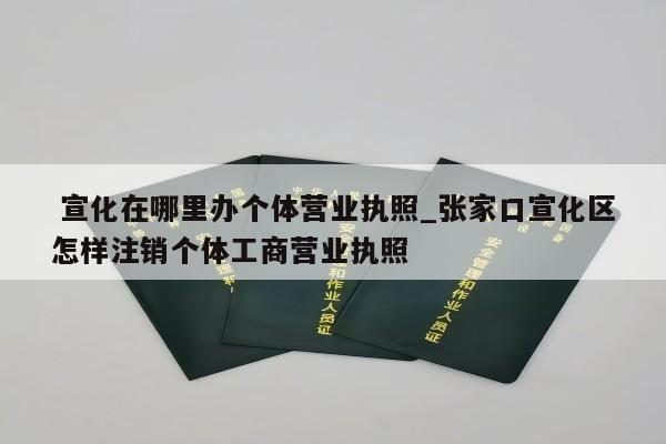  宣化在哪里办个体营业执照_张家口宣化区怎样注销个体工商营业执照