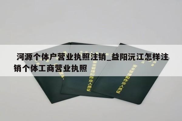  河源个体户营业执照注销_益阳沅江怎样注销个体工商营业执照