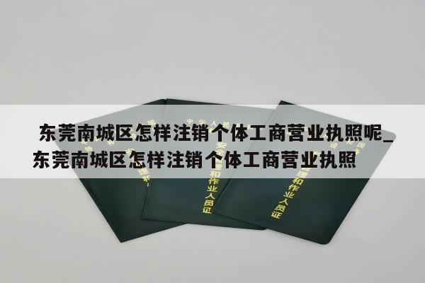  东莞南城区怎样注销个体工商营业执照呢_东莞南城区怎样注销个体工商营业执照