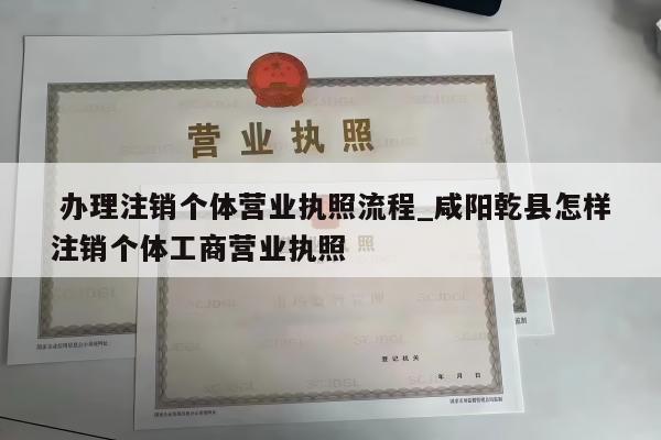  办理注销个体营业执照流程_咸阳乾县怎样注销个体工商营业执照