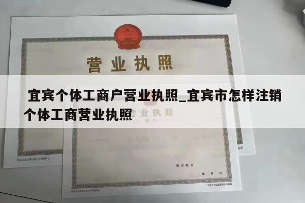  宜宾个体工商户营业执照_宜宾市怎样注销个体工商营业执照