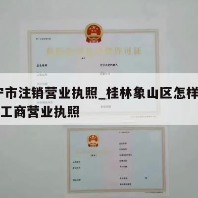  南宁市注销营业执照_桂林象山区怎样注销个体工商营业执照