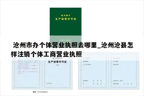  沧州市办个体营业执照去哪里_沧州沧县怎样注销个体工商营业执照