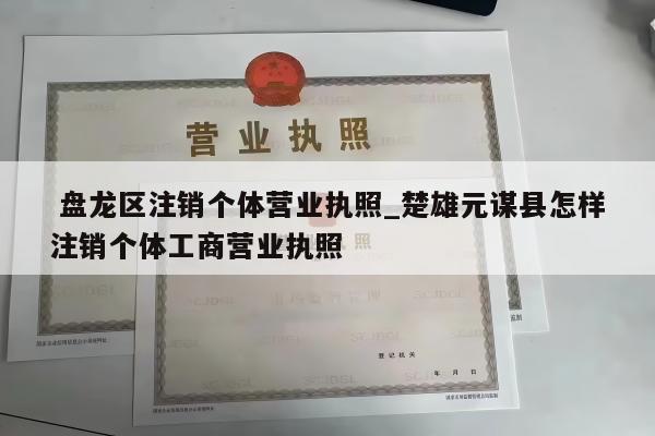  盘龙区注销个体营业执照_楚雄元谋县怎样注销个体工商营业执照