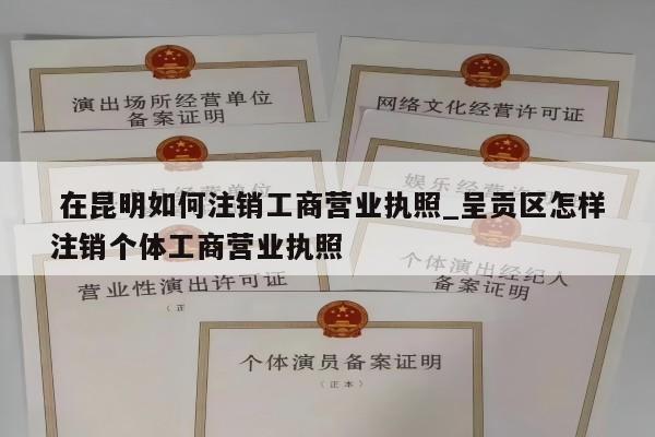  在昆明如何注销工商营业执照_呈贡区怎样注销个体工商营业执照
