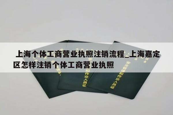  上海个体工商营业执照注销流程_上海嘉定区怎样注销个体工商营业执照