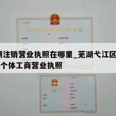  芜湖注销营业执照在哪里_芜湖弋江区怎样注销个体工商营业执照