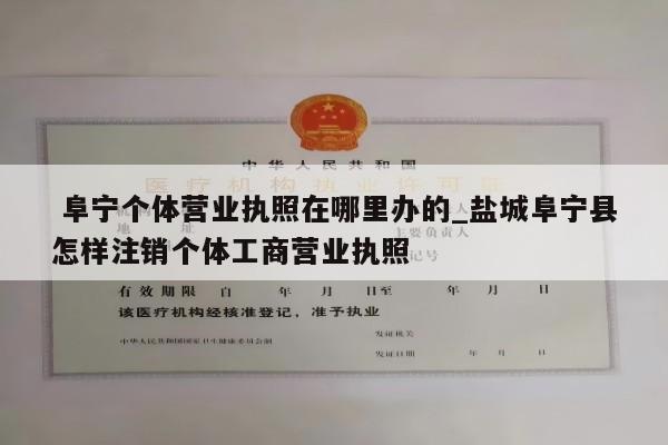 阜宁个体营业执照在哪里办的_盐城阜宁县怎样注销个体工商营业执照