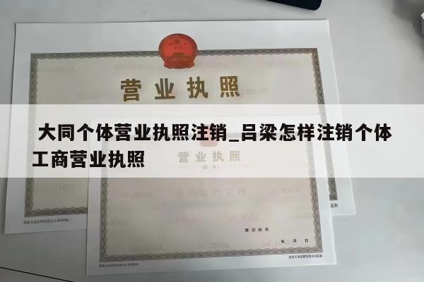  大同个体营业执照注销_吕梁怎样注销个体工商营业执照