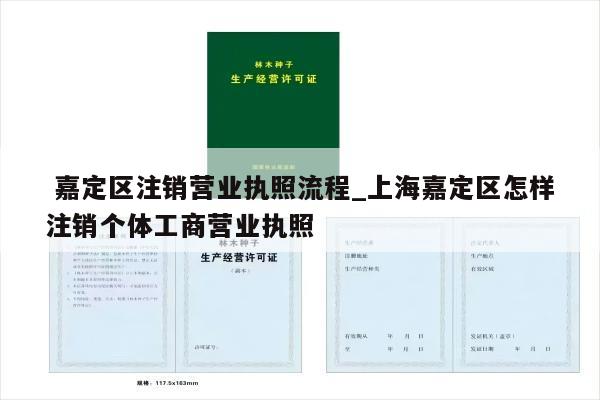  嘉定区注销营业执照流程_上海嘉定区怎样注销个体工商营业执照