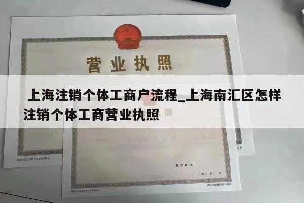  上海注销个体工商户流程_上海南汇区怎样注销个体工商营业执照