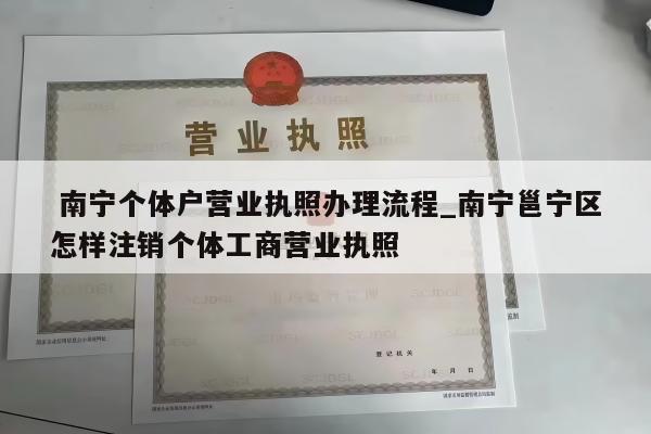  南宁个体户营业执照办理流程_南宁邕宁区怎样注销个体工商营业执照