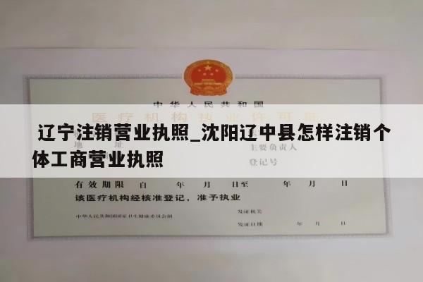  辽宁注销营业执照_沈阳辽中县怎样注销个体工商营业执照